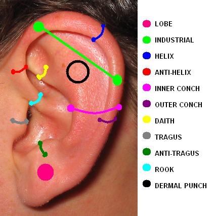 Ear